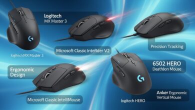 Best Wired Mouse for Office Work and Everyday Use